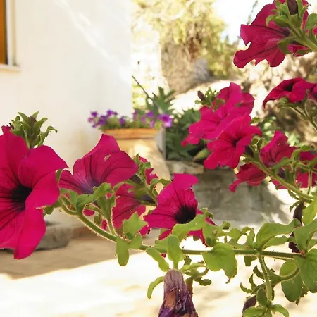 Villaggio Placido Holiday home *