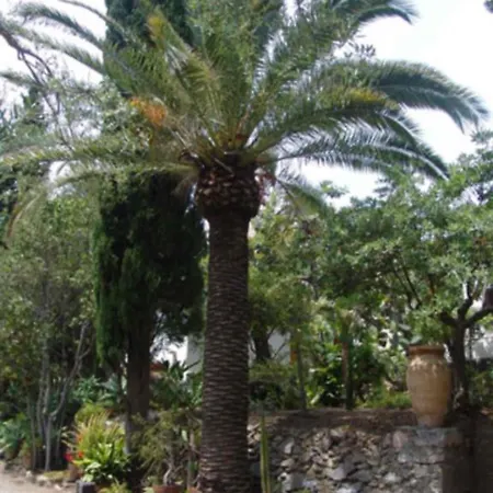 Holiday home Villaggio Placido *